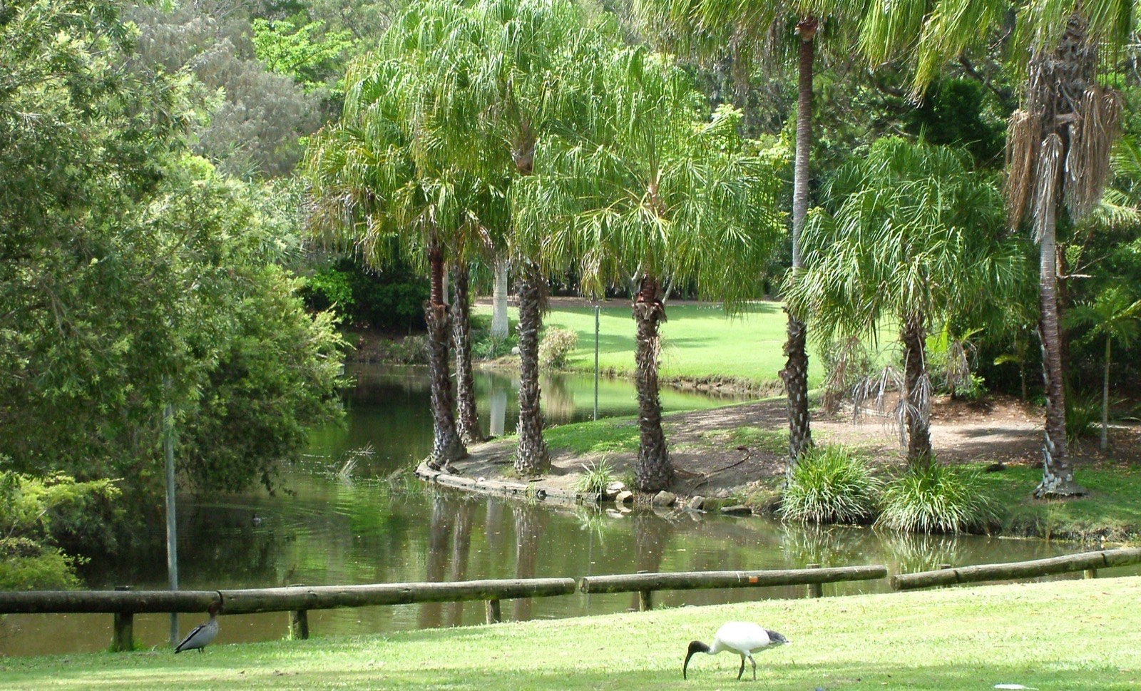 Gardens in Hervey Bay